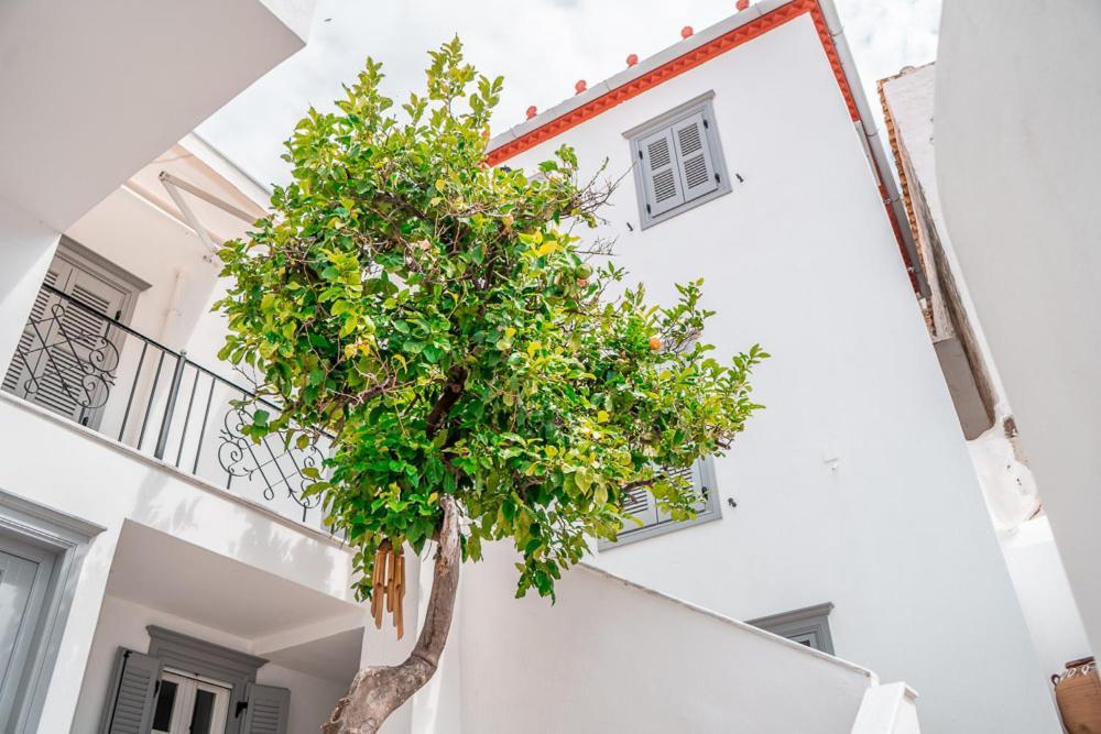 Lemon Tree - Hydra Dream Houses Dış mekan fotoğraf